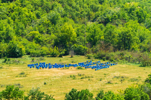 Preview: Apiary in a glade in the forest