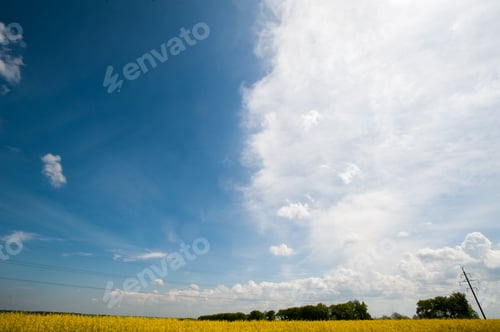 Preview: green field with sky