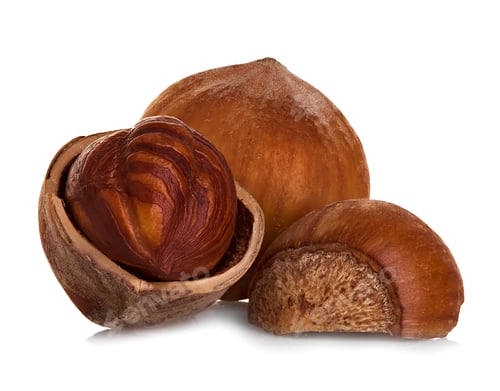 Preview: Hazelnuts isolated on a white background