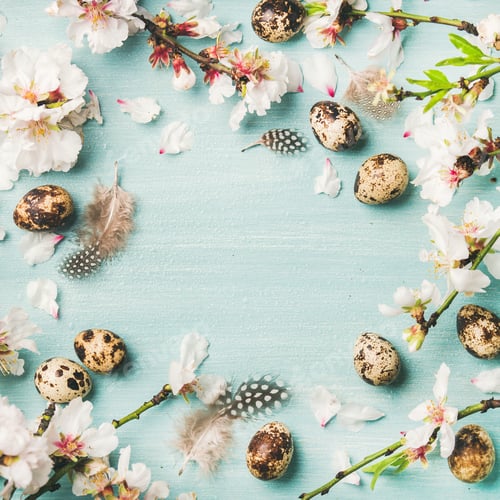Preview: Easter background with eggs and almond flowers, square crop