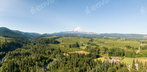 Preview: Aerial Panoramic View of American Landscape and Green Farm Fields