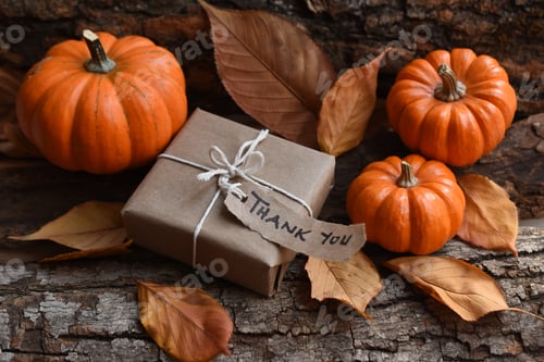 Preview: Autumn colors