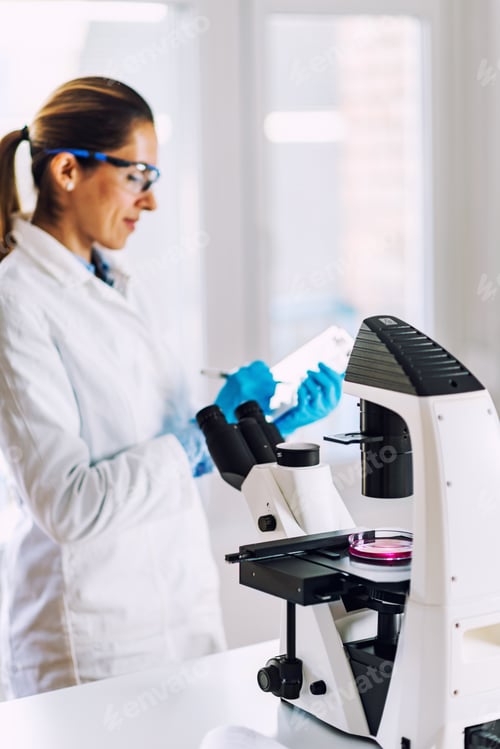 Preview: Laboratory work