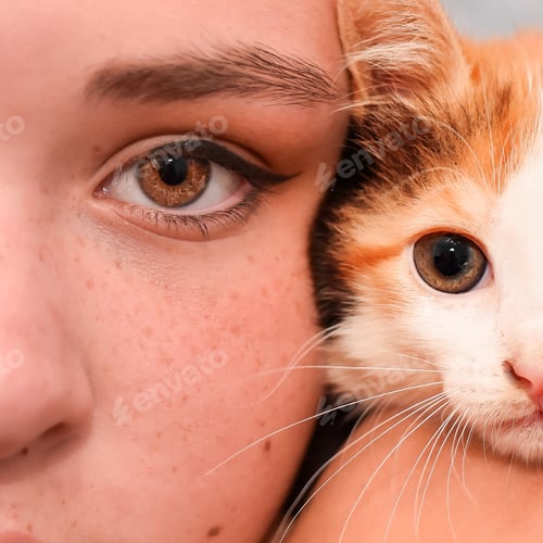 Preview: close-up of a woman with brown eyes and a cat