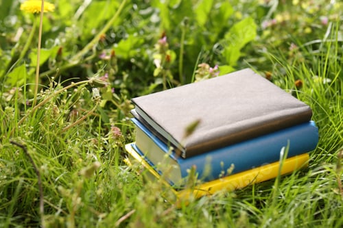 Preview: Different stacked books on green grass outdoors