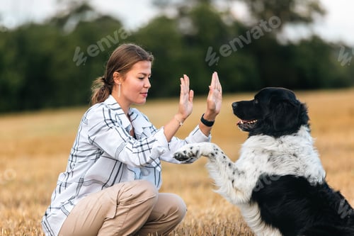Preview: Happy girl with his dog on field on sunny day