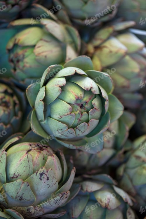 Preview: Artichokes