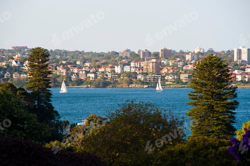 Preview: Sailing Boats in Sydney Harbour, Australia