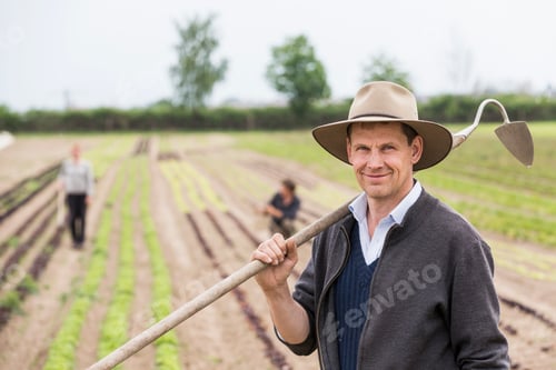 Preview: Portrait of farmer in field with hoe