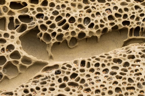 Preview: Closeup of colorful honeycomb rock formation with pebbles at oceanside