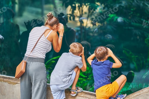 Preview: Photo of woman with kids in oceanarium zoo
