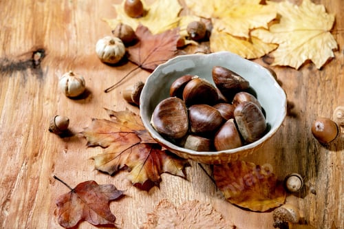 Preview: Edible chestnuts and autumn leaves