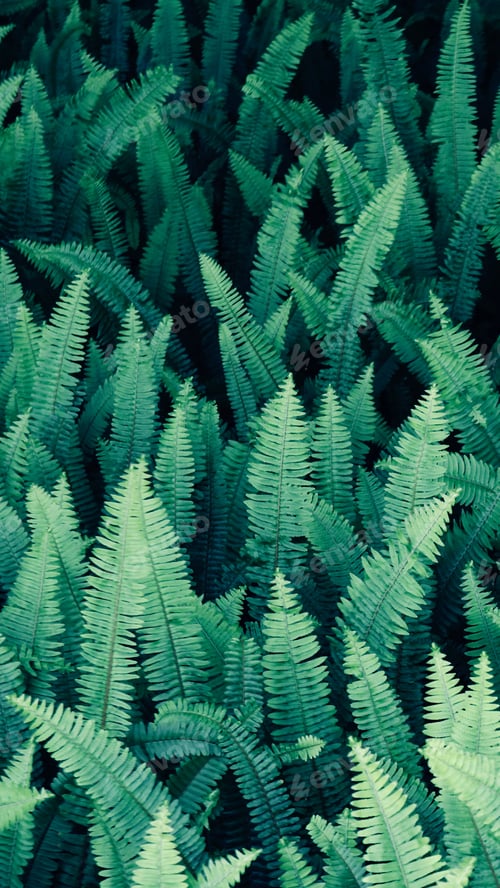 Preview: Green leaf background