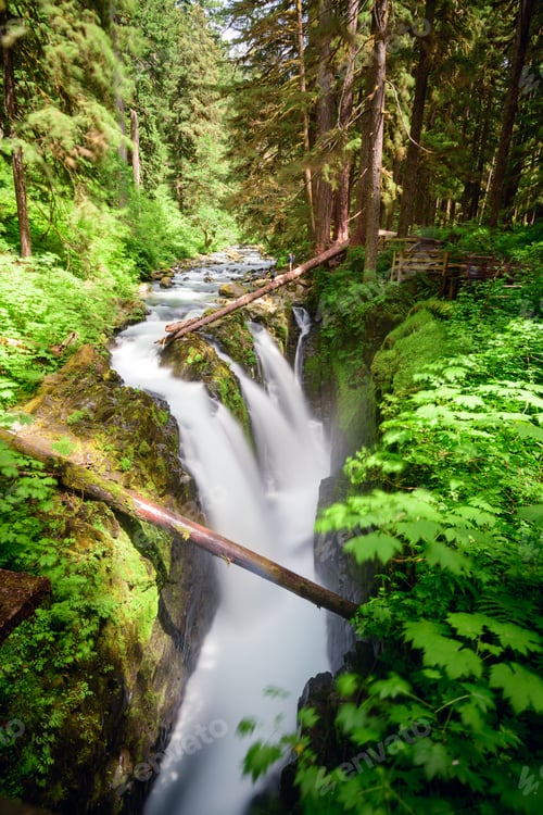Preview: Sol Duc Falls in Olympic National Park, Washington, USA