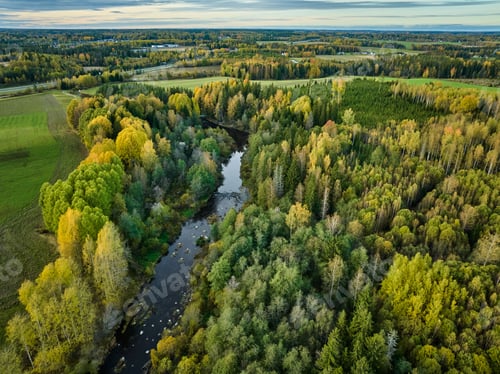 Preview: Aerial view of lush forest and river landscape.