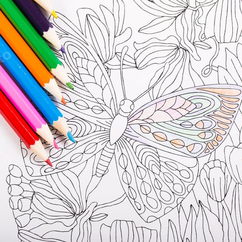 Preview: Multi-colored pencils and coloring book for adults