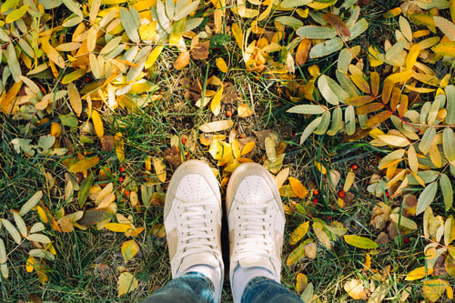 Preview: Top view of legs in boots on the autumn leaves. Autumn fall