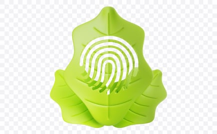 Preview: Leaf Fingerprint Scan
