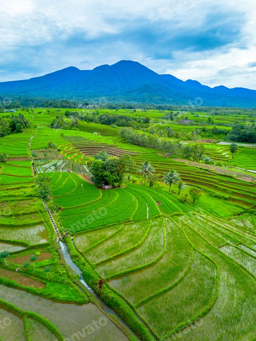 Preview: beautiful morning view from Indonesia
