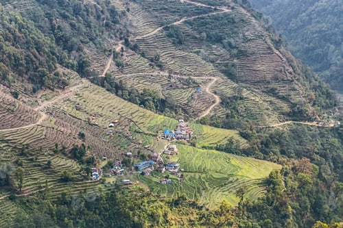 Preview: Terraced plantation on hill slopes in Nepal