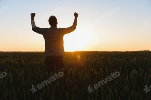 Preview: Farmer in wheat field planning harvest activity, female agronomist looking at sunset on the horizon.