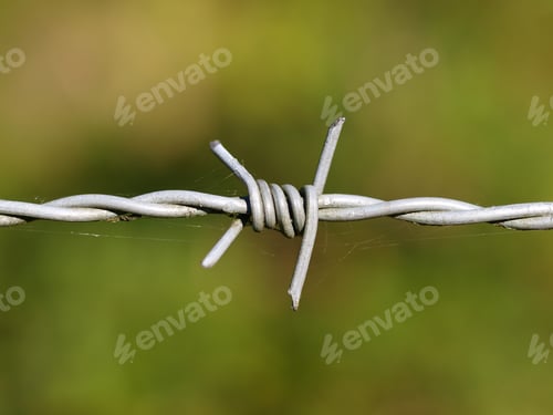 Preview: detail barbed wire