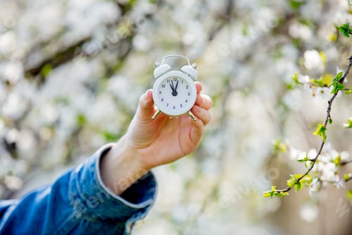 Preview: Female hand holding alarm clock near flowering tree