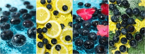 Preview: Photo collage of freshness, berries, fruits, flowers and leaves in water