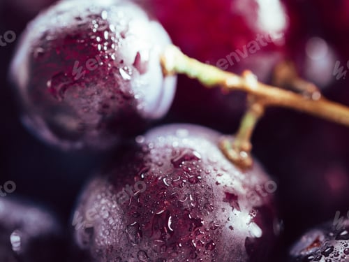 Preview: red grape with water drops close up