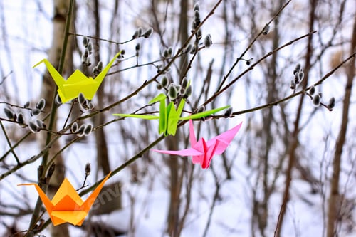 Preview: Bright multicolored origami paper cranes on the branches of a willow with buds. hope faith happiness