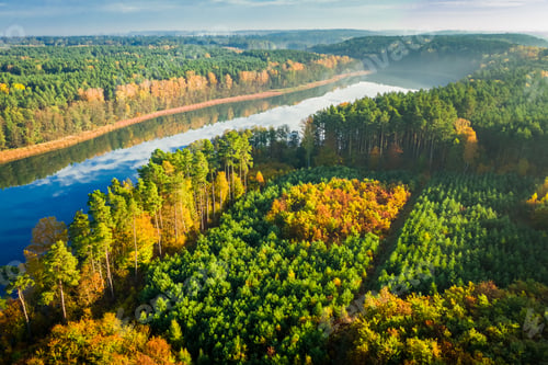 Preview: Forest and crystal clear lake in autumn, aerial view