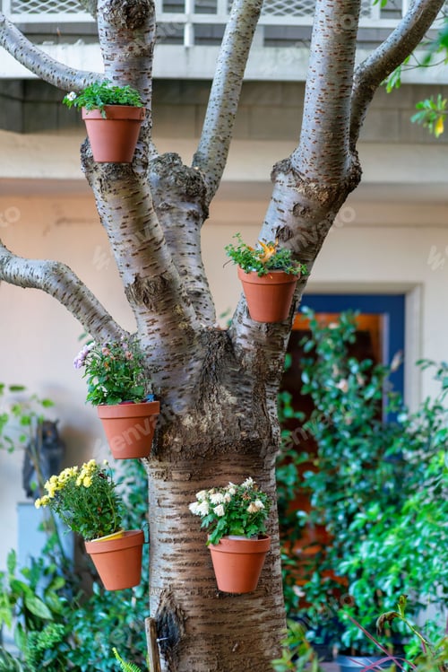 Preview: Vertical shot of potted plants on a tree in a garden