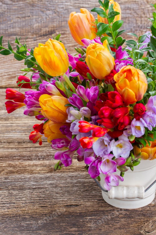 Preview: freesia and flowers