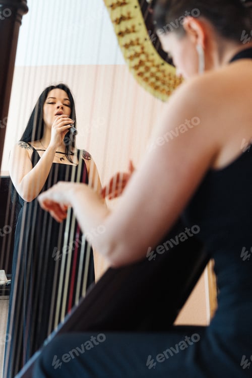 Preview: Harpist and singer during a concert