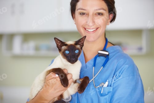 Preview: Portrait of a smiling female vet holding a Siamese cat