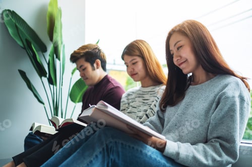 Preview: Young Adults Reading Books Together Indoors
