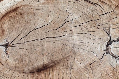 Preview: Texture of cut old tree stump with annual rings and cracks. Wooden texture