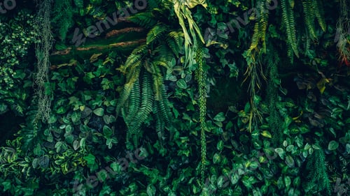 Preview: Group of Green leaf and natural background. Tropical green leaves texture and abstract foliage.