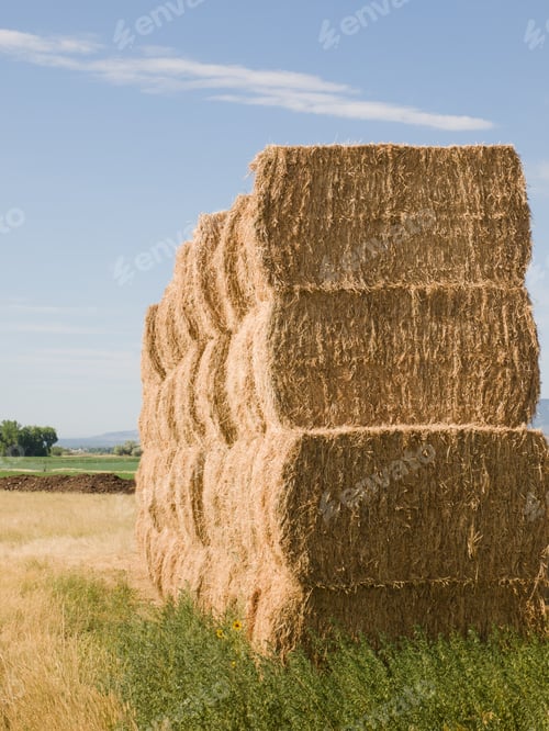 Preview: Haystack