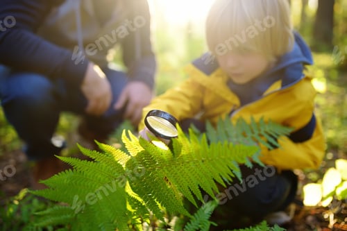 Preview: Preschooler boy and his father are exploring nature with magnifying glass