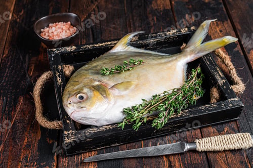Preview: Raw fish butterfish or pompano with herbs in a wooden tray. Dark wooden background. Top view