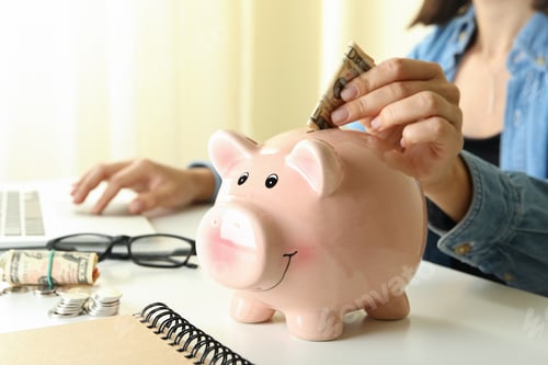 Preview: Concept of finance and economy with piggy bank