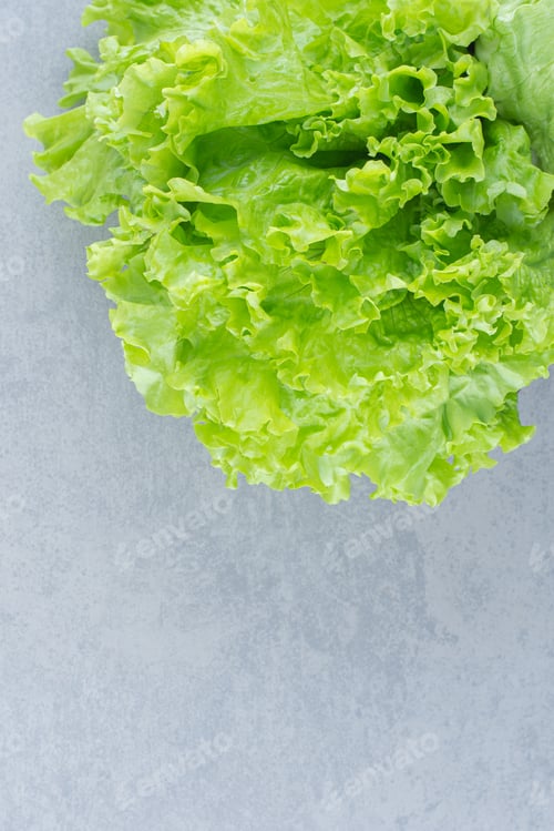 Preview: Close up photo of Lettuce leaves isolated on grey background.