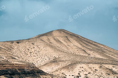 Preview: Sandy hills with dry plants