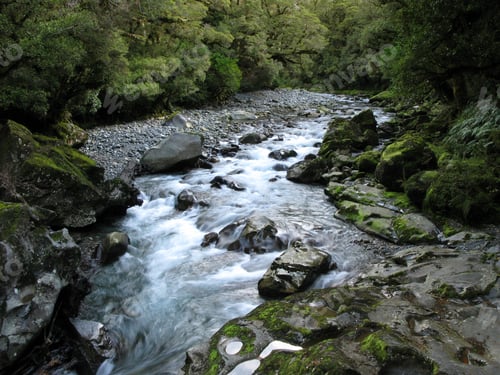 Preview: Milford Sound, Te Wahipounamu, New Zealand