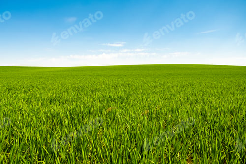 Preview: Green hill with dreamy clouds and blue sky in the background.