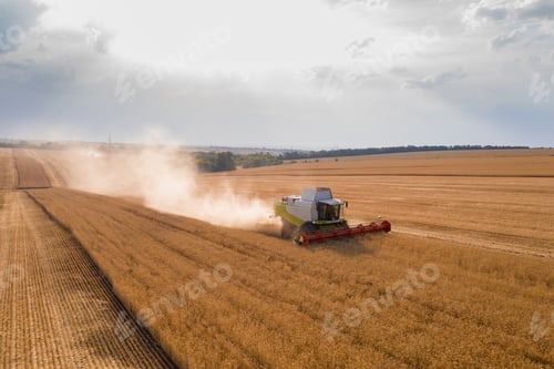 Preview: Aerial top view of combine harvester working on wheat field