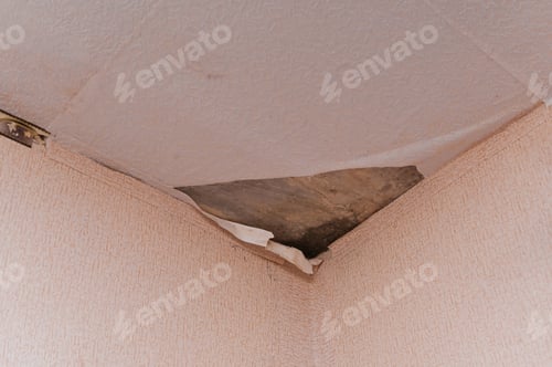 Preview: mold on the ceiling. due to the dampness, mold formed and the wallpaper peeled off
