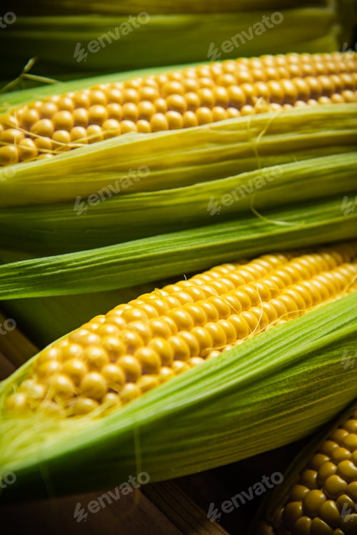 Preview: Fresh corn on wooden table.