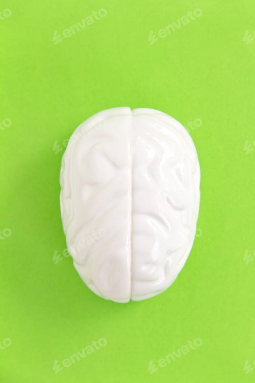 Preview: Brain concept